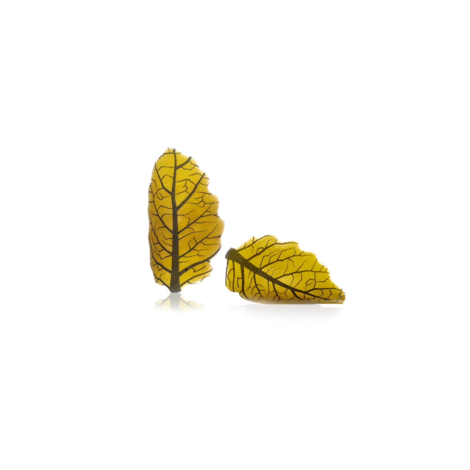 Skraut Curvy leaf yellow 144 stk